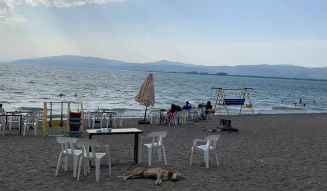 İznikliler günün yorgunluğunu sahil ve parklarda atıyor