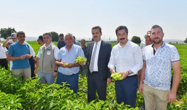 Yenişehir Biberi'nin marka değeri artacak