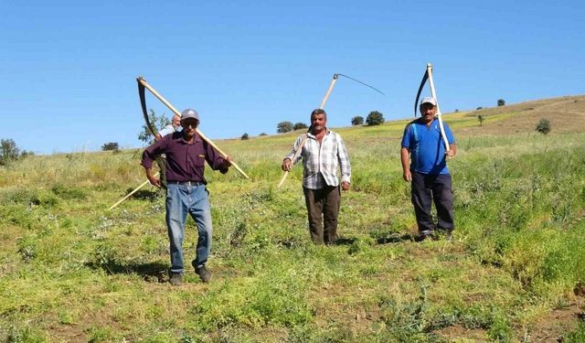 Aylıkları 45 bin liraya geliyor, ancak sayıları her geçen yıl azalıyor