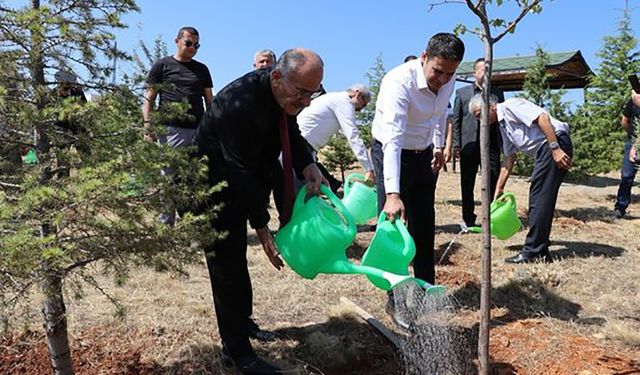 Beyşehir’de 15 Temmuz etinliklerinde şehitler için fidan dikildi