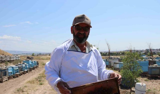 Eskişehirli arıcılar daha fazla destek bekliyor