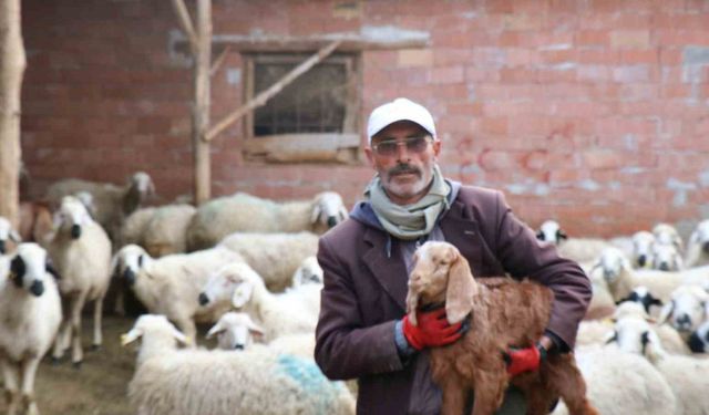 Fenomen muhtar adayının davasında şüphelilerin ifadeleri ortaya çıktı