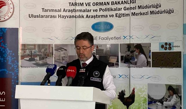 Tarım Bakanlığı'ndan Yeni Destekler: Üretim ve İhracat Odaklı Model