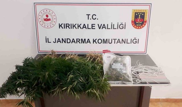 Jandarmadan kaçak kazı ve uyuşturucu operasyonu: 1 gözaltı