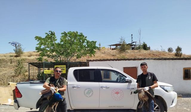 Yaban Kuşları İçin Özgürlük Operasyonu: Aksaray Jandarma Sahada!