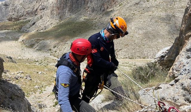 Kayalıklarda mahsur kalan çoban ve koyun kurtarıldı