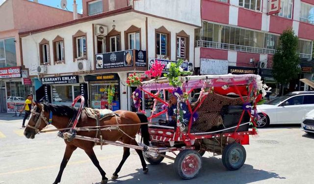 Nostaljik at arabasıyla düğün ve sünnetlerde gezi keyfi ilgi görüyor