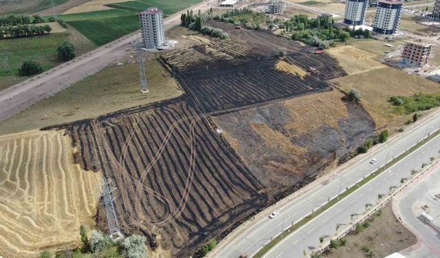 Paniğe neden olan anız yangını evlere sıçramadan söndürüldü