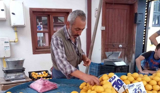 Pazarda bile kilosu 70 liraya dayanan limon