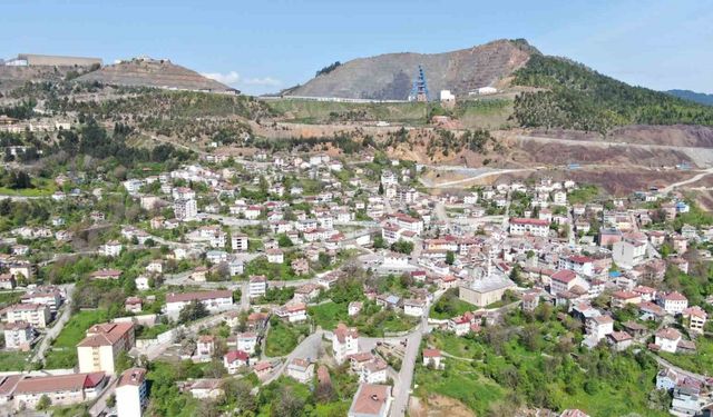 Popülasyonu artan ayılar yerleşim yerlerini mesken tuttu