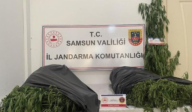 Samsun’da jandarmadan uyuşturucu operasyonu: 3 gözaltı