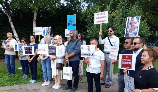 Sivil toplum kuruşlarından sahipsiz sokak hayvanları ile ilgili hazırlanan yasa tasarısına destek