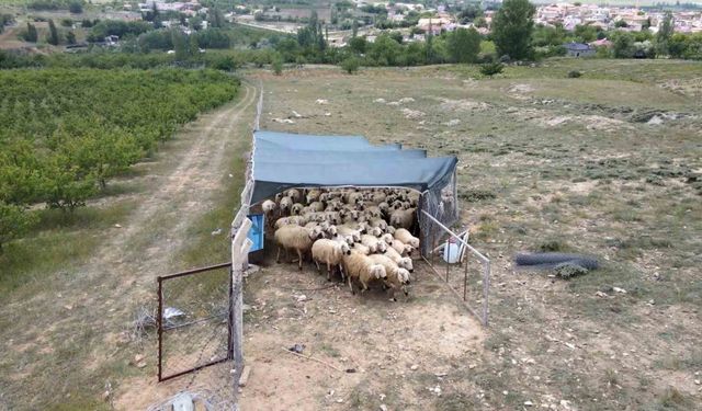 Uzman Eller Projesi ile genç yaşta kendi işini kurdu