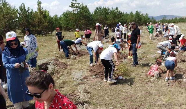 Vatandaşlar hem fidan dikti hem de eğlendi