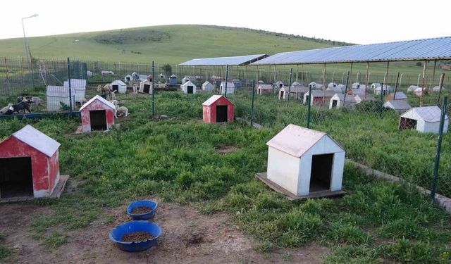 Yozgat Belediyesi’nden Örnek Proje: “Evcil Köy” Hayata Geçiyor