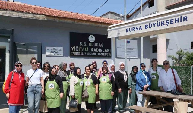 ’Yukarı Sakarya Havzası’nda Arazi Tahribatını Dengeleme Projesi’ devam ediyor