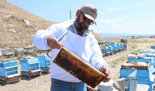 Yükselen hava sıcaklıkları bal üretiminde verimi düşürdü