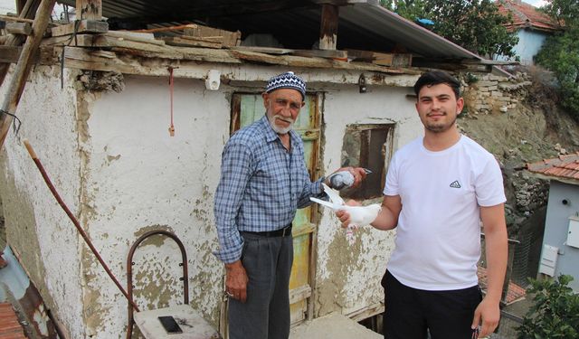 Dededen toruna güvercin sevgisi: Çorum'un güvercin ustası Osman Atal