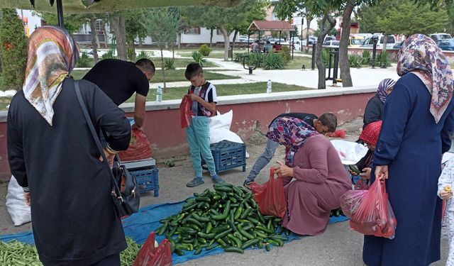 Çorum'un bu ilçesinde Köylü Pazarı: El emeği, göz nuru doğal ve organik ürünler tezgahlarda