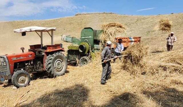 Çorum'un bu ilçesinde çiftçileri Patoz ile hasat yapıyor