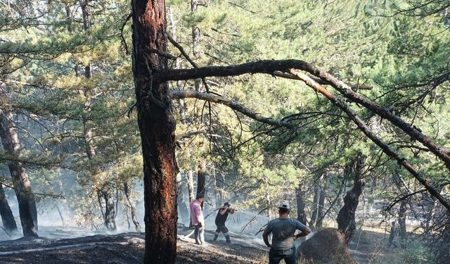 Çorum'un ciğerleri yandı! Sungurlu'da orman yangını