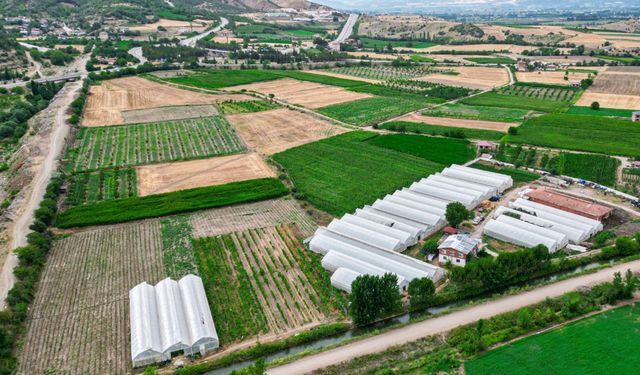 Tokat'ın bu ilçesinde serada çalışanlar en az öğretmen kadar maaş alıyor