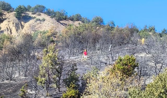 Amasya'da çıkan orman yangını söndürüldü