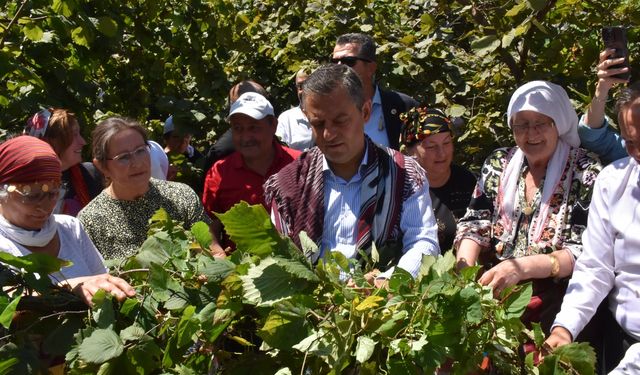 CHP Genel Başkanı Özgür Özel, Ordu'da konuştu: