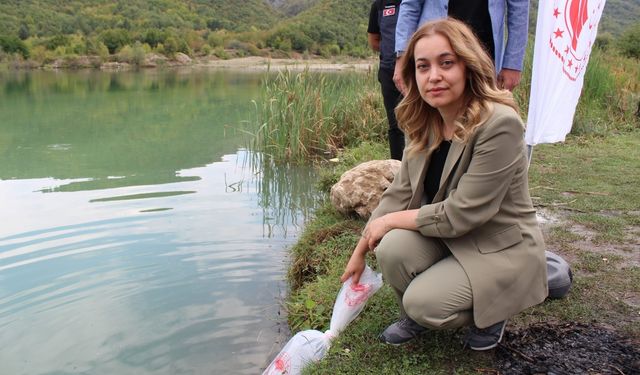 Karabük'te göl ve göletlere 30 bin sazan yavrusu bırakıldı