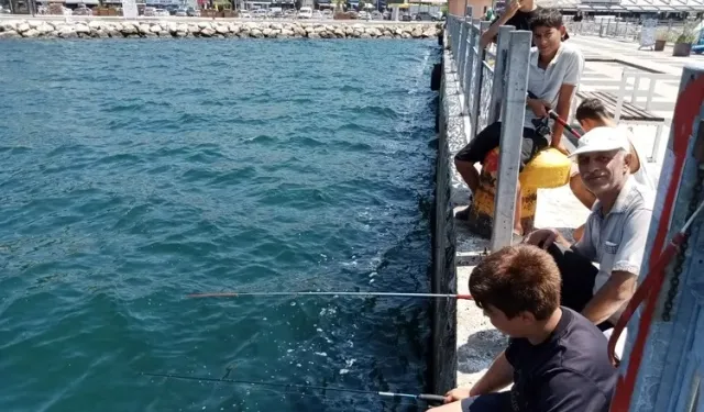 Gemlik sahili balıkçıların gözdesi