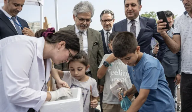 İstanbul'da okul öncesi eğitim şenliği