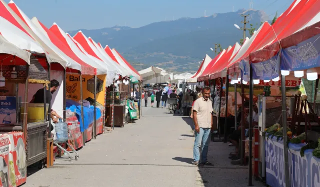 Sakarya Geyve'de panayır coşkusu