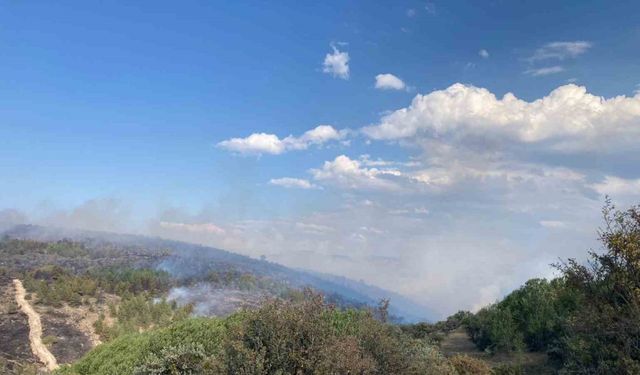 Bolu’da devam eden yangın Ankara istikametine yöneldi