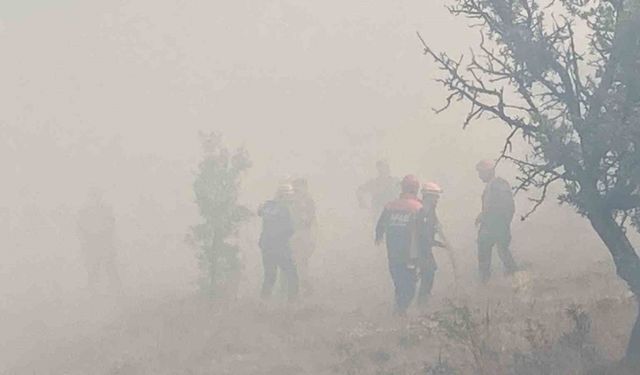 Bolu’da kontrol altına alınan yangın tekrar alevlendi