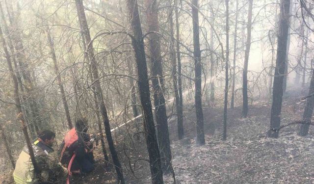 Çamlıdere’deki ot yangını ormanlık alana sıçradı