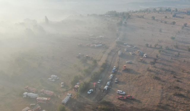 Çankırı’daki orman yangınıyla ilgili AFAD’tan açıklama: "Soğutma çalışmaları sürüyor"