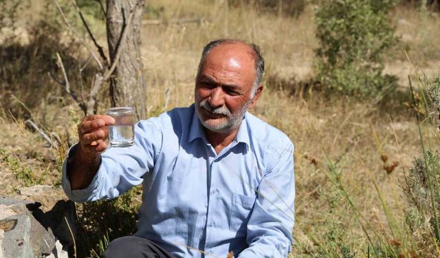 Dayanılmaz kokusuna rağmen şifa bulmak için kana kana içiyorlar