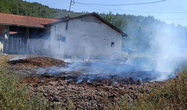 Gübre yangını ormana sıçramadan söndürüldü