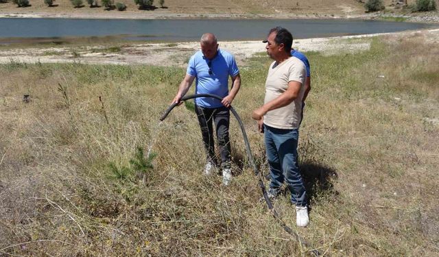 Gurbetçiler bozkırı yeşillendirdi