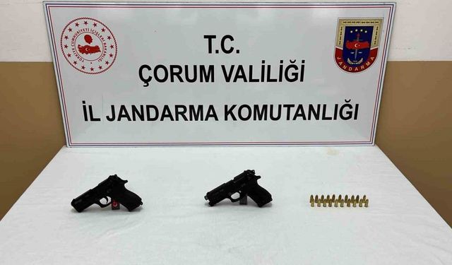 Jandarmanın durdurduğu araçta 2 tabanca ele geçirildi