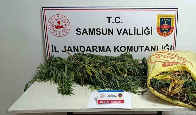 Jandarmaya 12 kilo esrarla yakalanan kadın tutuklandı