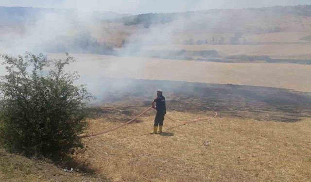 Kastamonu’da çıkan arazi yangınında 2 dekar alan zarar gördü