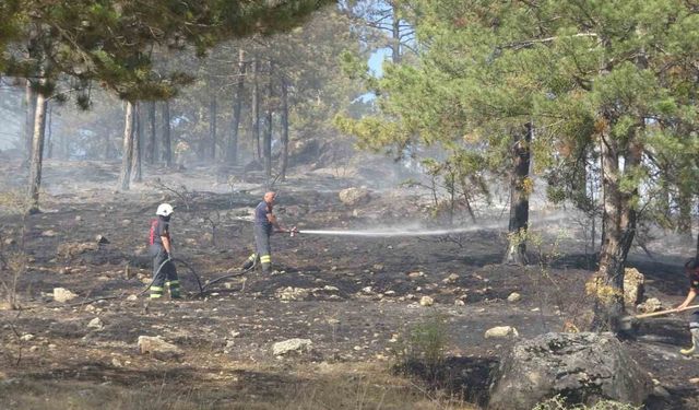 Kastamonu’da çıkan orman yangını söndürüldü