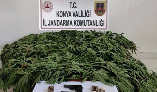 Konya’da jandarmadan uyuşturucu operasyonu: 3 gözaltı