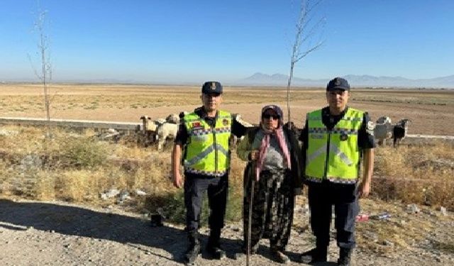 Konya’da kayıp küçükbaş hayvanları jandarma buldu