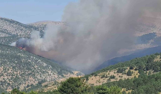 Konya’da ormanlık alanda yangın