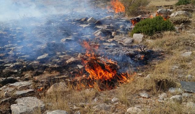 Konya’da yaylada örtü yangını