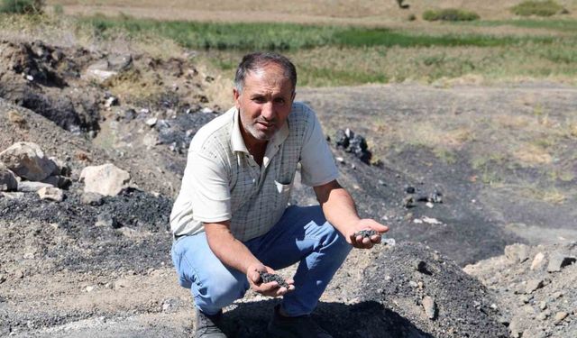 On binlerce kilometreden sürüklendiler tüm köyü kapladılar