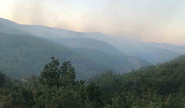 Orman yangınına müdahale eden operatör hayatını kaybetti