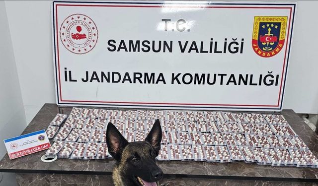 Polis ve jandarma suçluların ensesinde